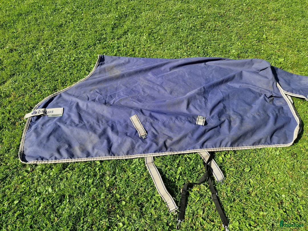 Täcken hästutrustning till salu: Bucas Freedom Turnout Light 0g 140cm - Annons 1