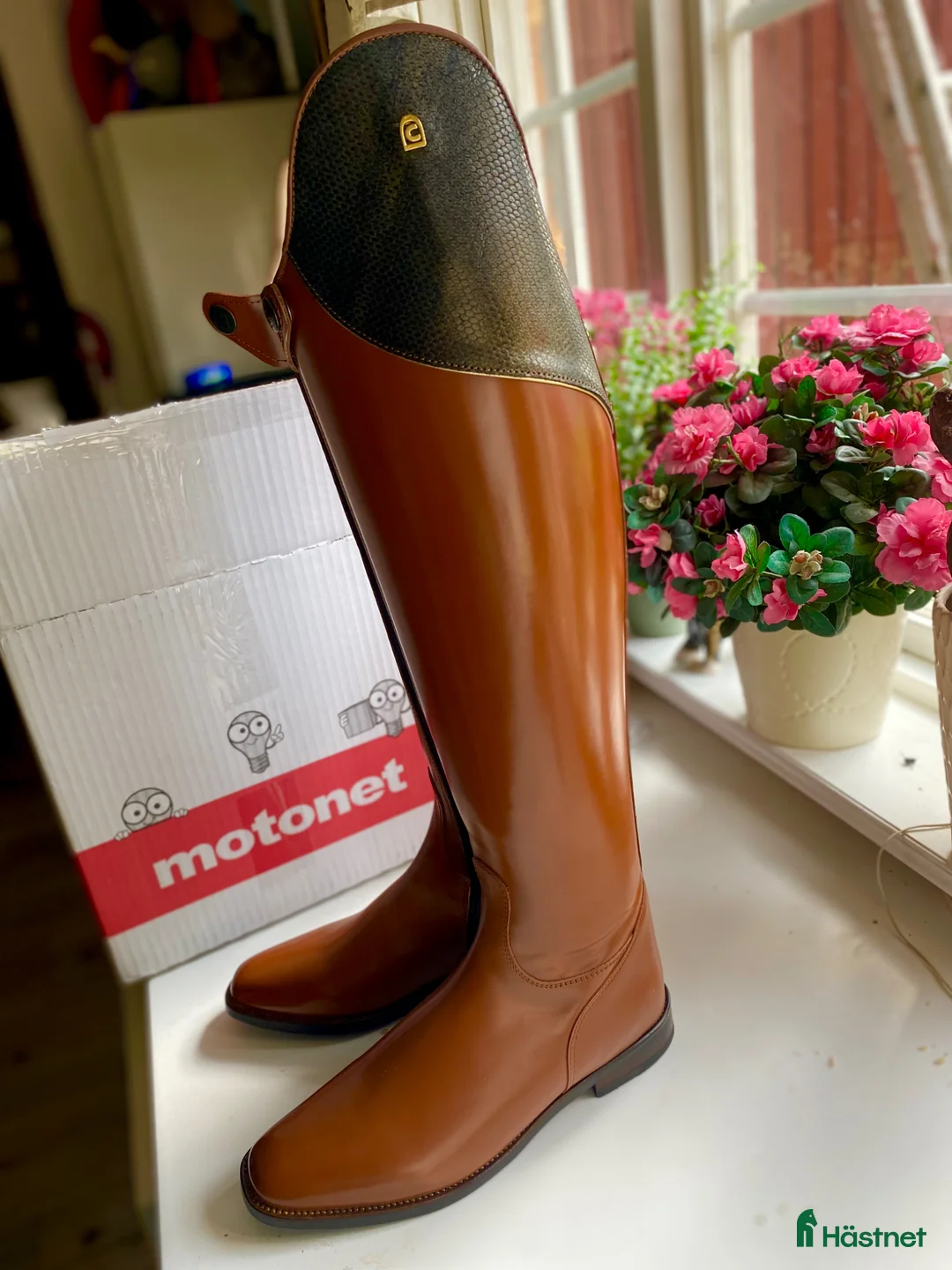 Ridstövlar ryttarutrustning till salu: Nya lyxiga dressyrstövlar - Annons 2