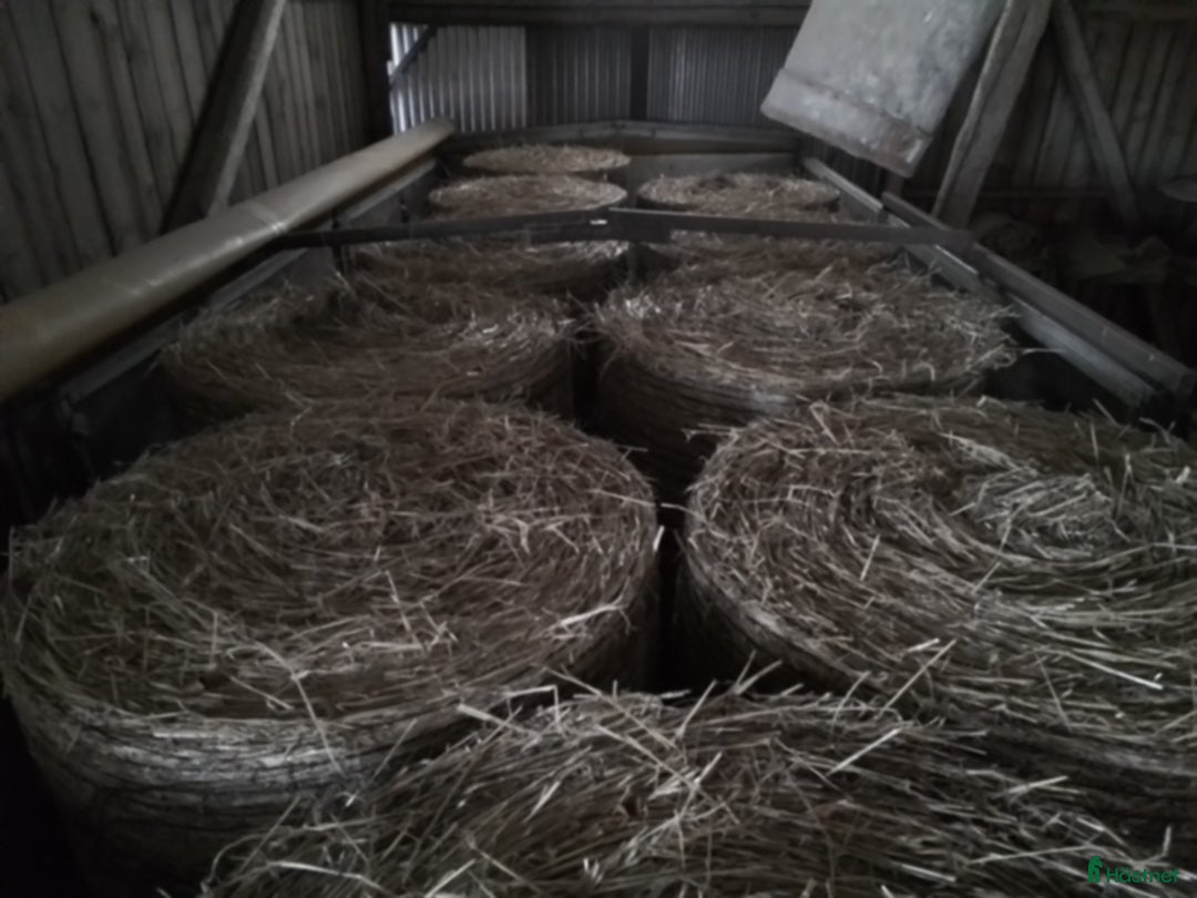 Övrig utrustning övrig utrustning till salu: Hösilage o halm i småbal i Hörby - Annons 5