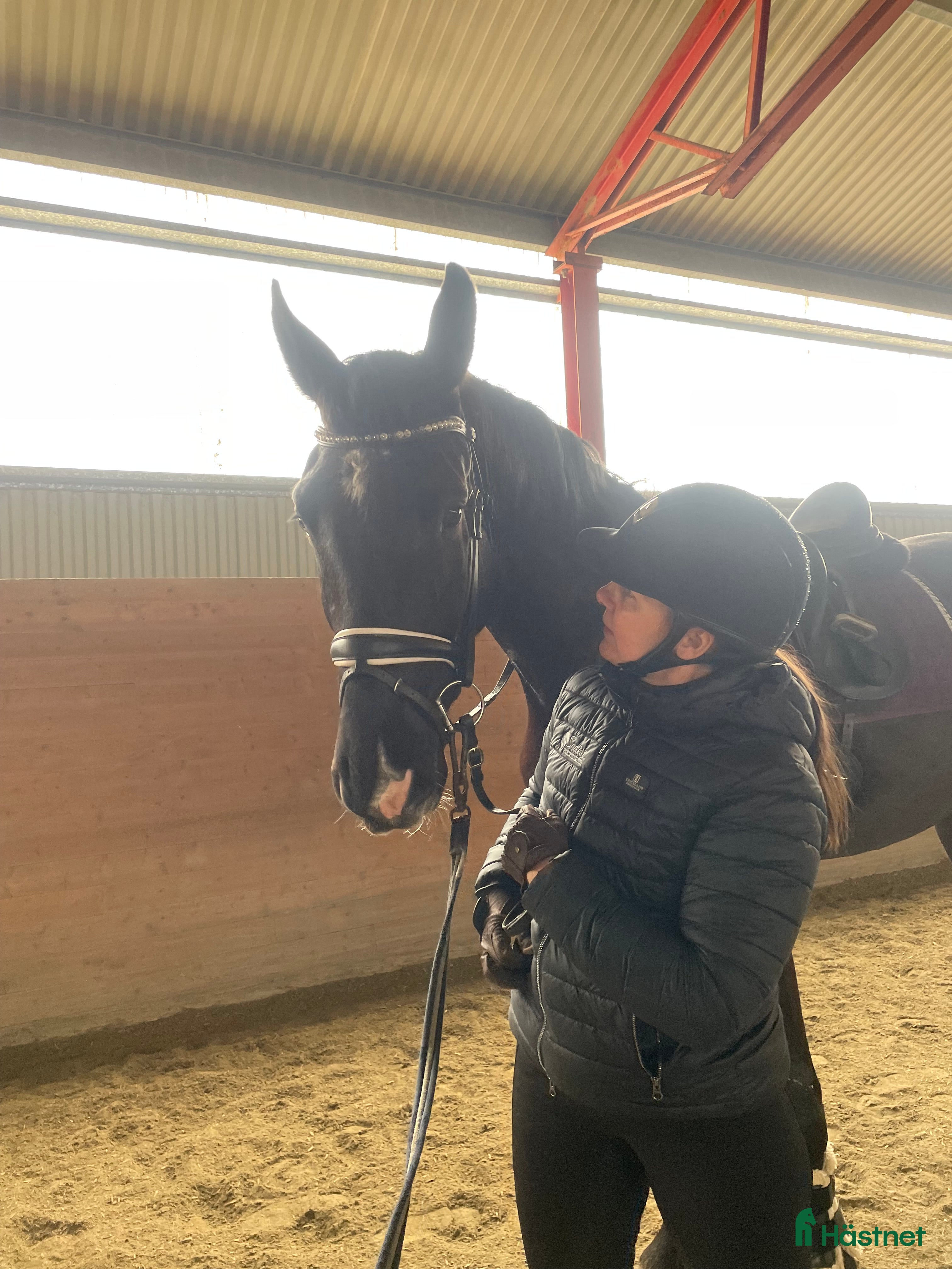  hästar Lyxig skogsmulle i Lödöse - Annons 2