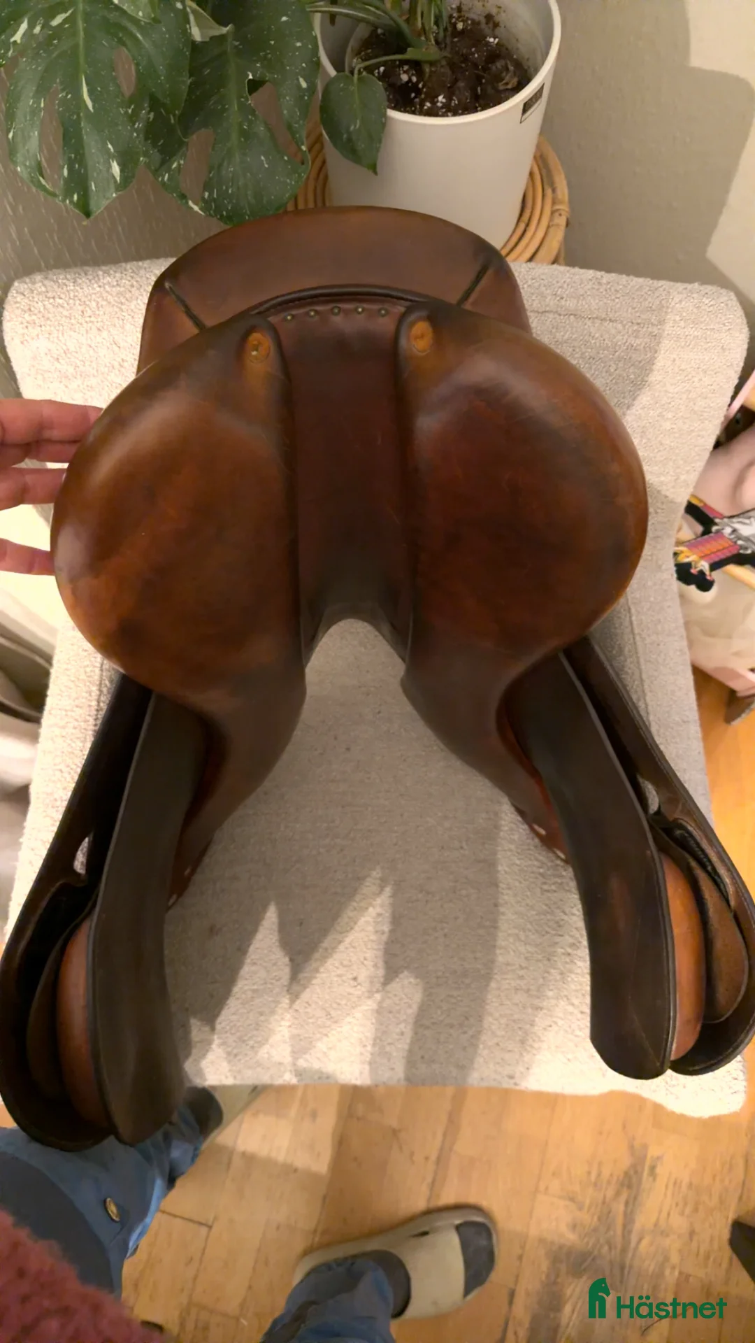 Sadlar hästutrustning till salu: Bruno Delgrange  - Annons 4