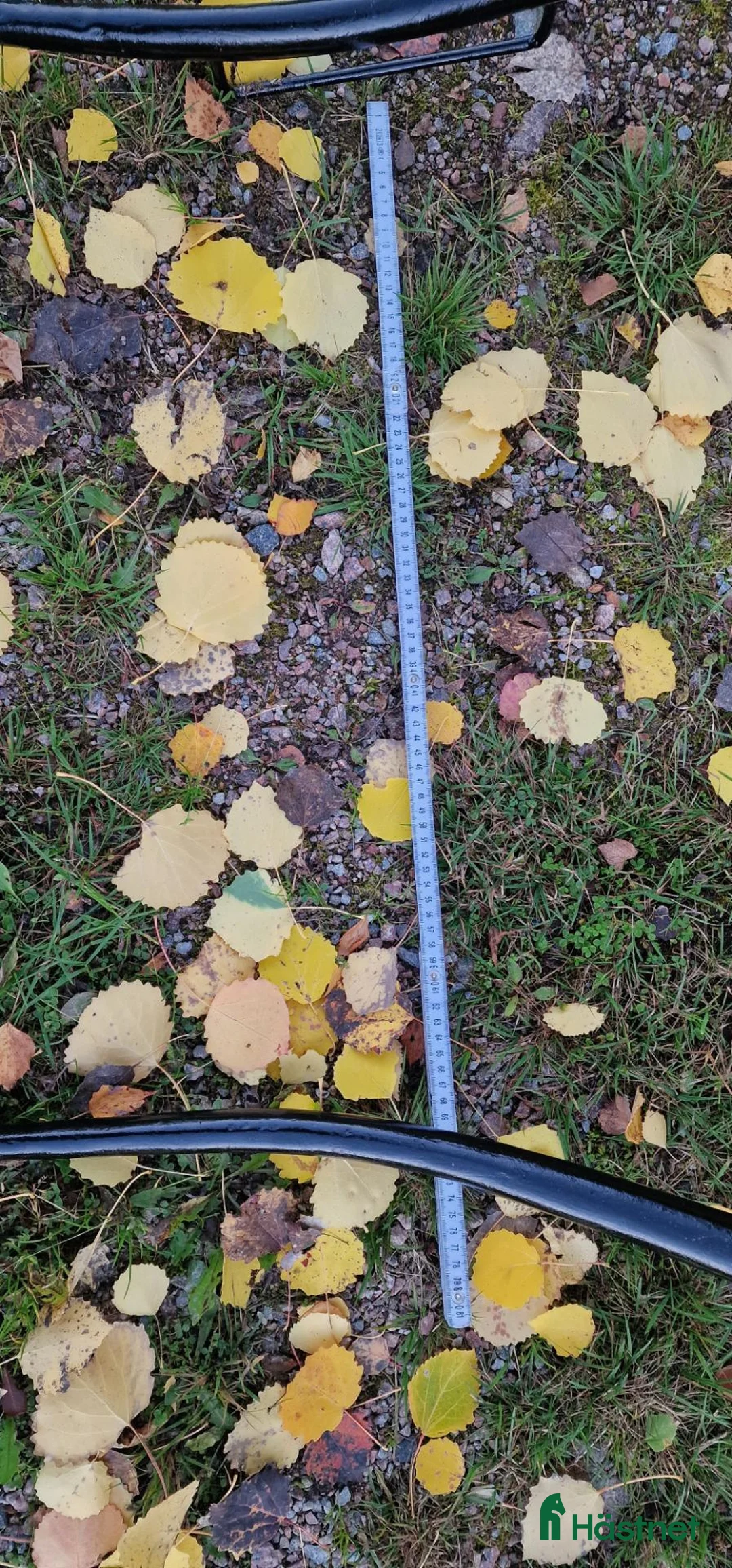 Körvagnar körning till salu: Rockard - Annons 5