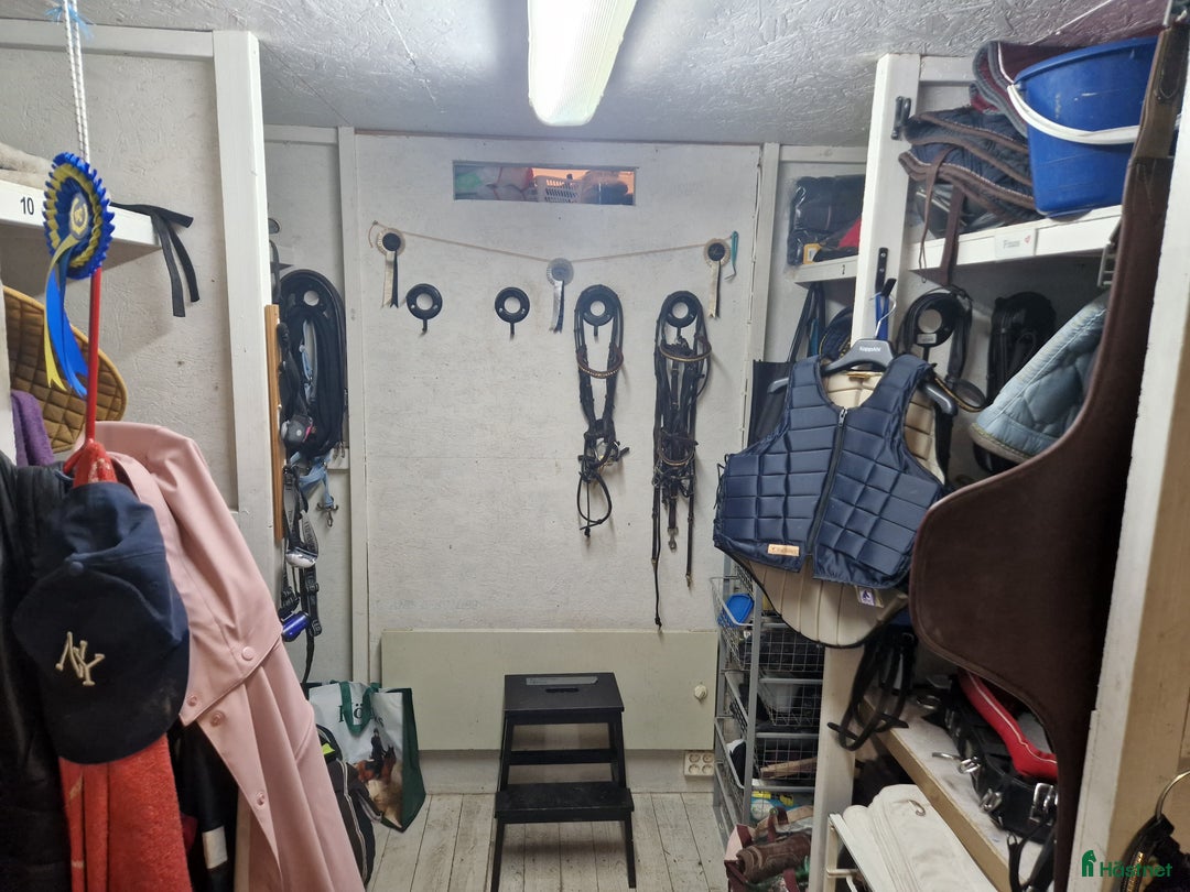  stallplats finnes: Stall plats finnes i Grödinge i Grödinge - Annons 8