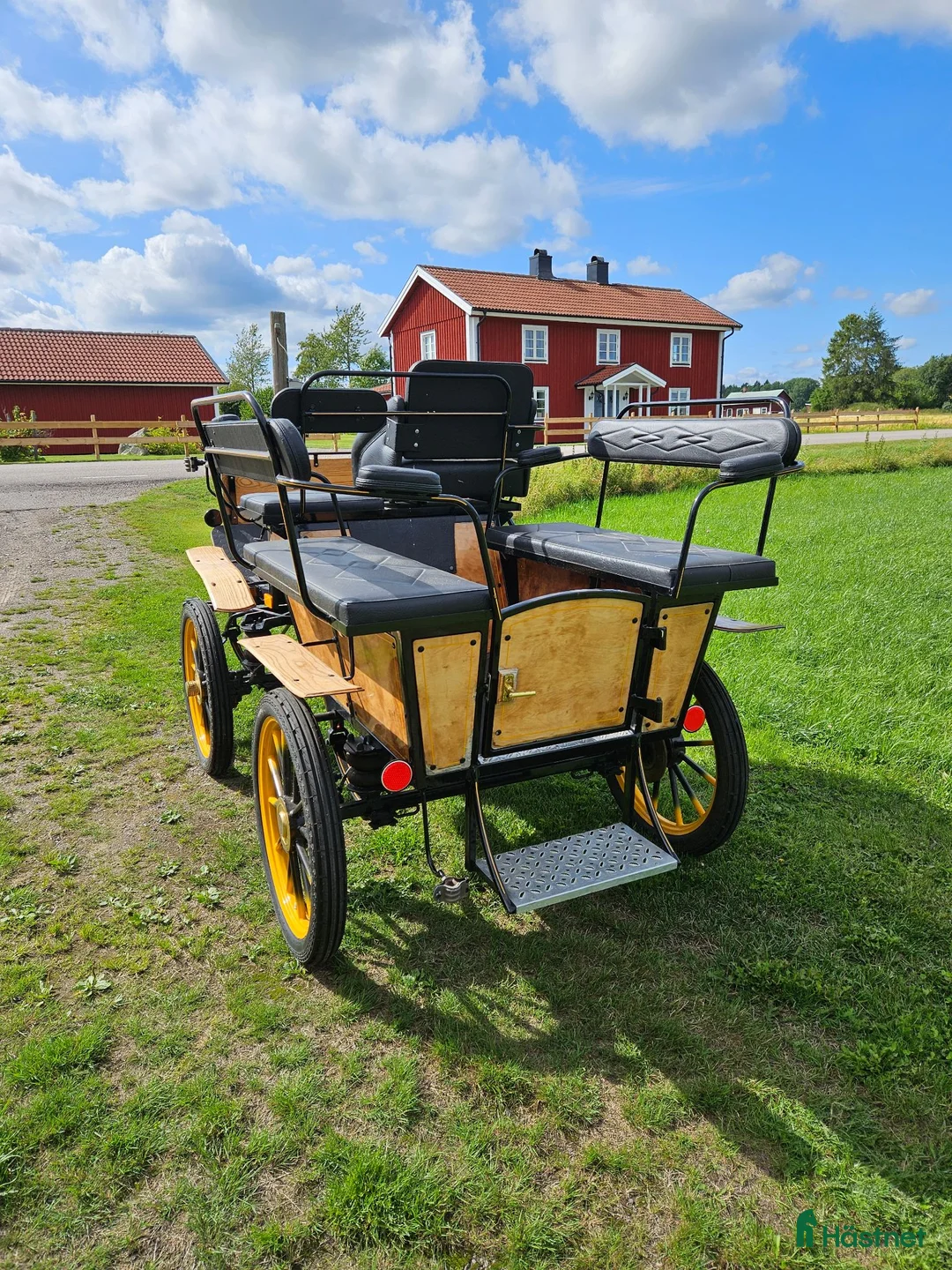 Körvagnar körning till salu: Wagonette  - Annons 2