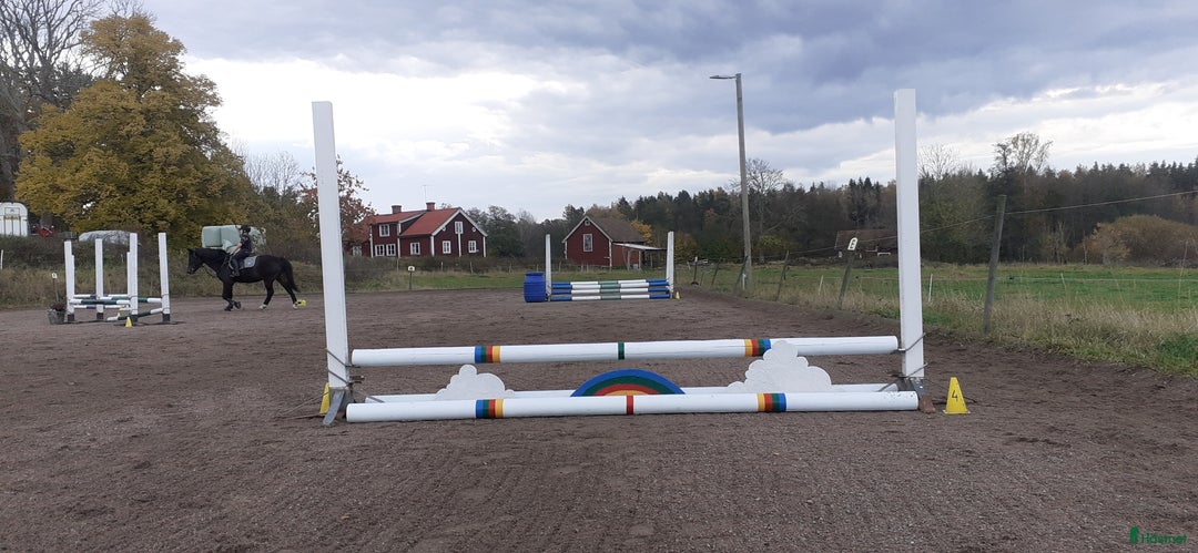  stallplats finnes: Lösdrift där hästar får vara hästar. i Tjällmo - Annons 9