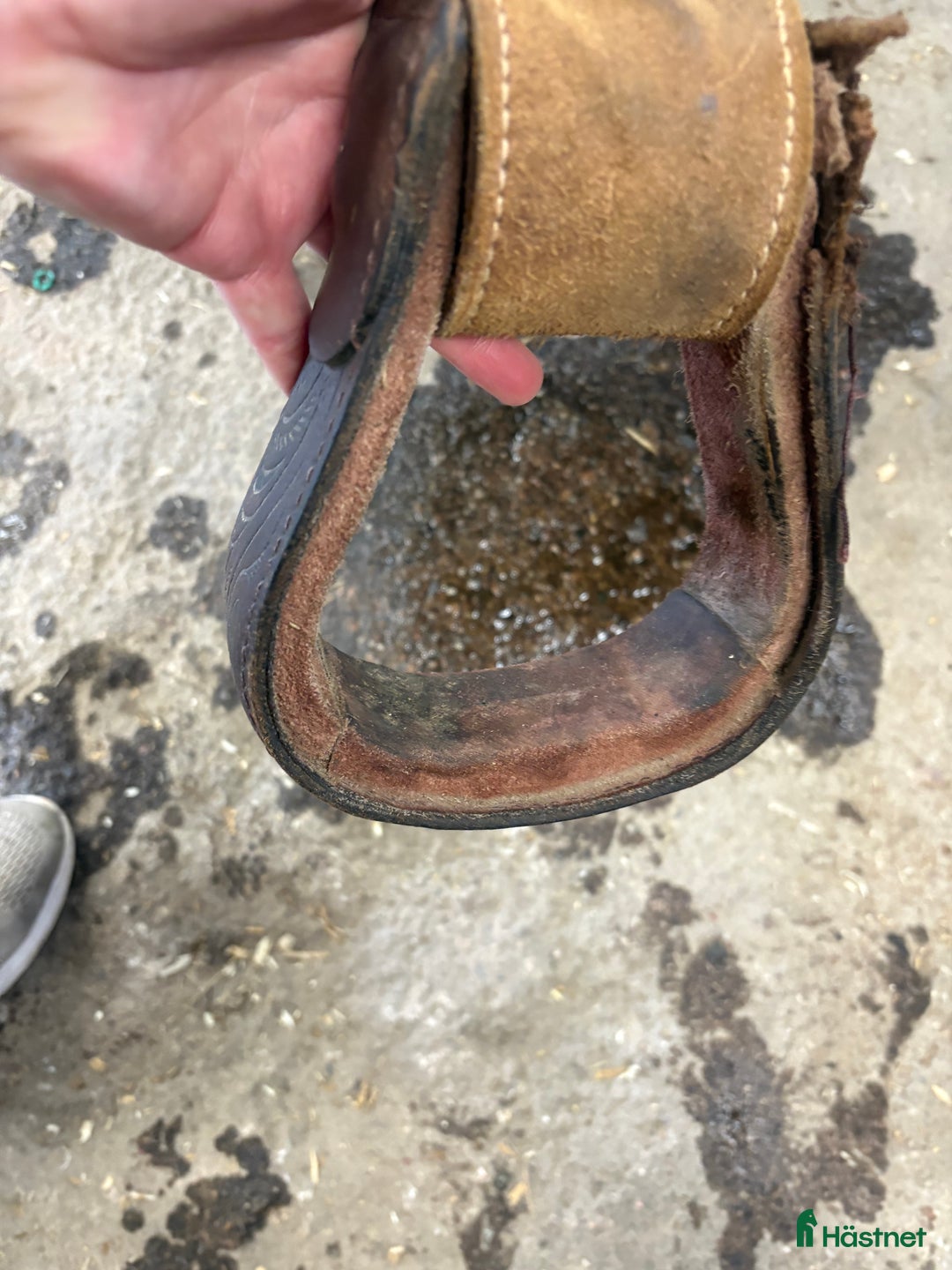 Sadlar hästutrustning till salu: Westernsadel  i Kungsör - Annons 6