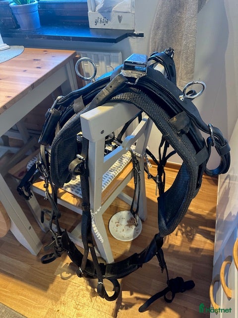 Körselar körning till salu: Komplett Remsele Travsele, tömmar, med FRAKT i Kattarp - Annons 1