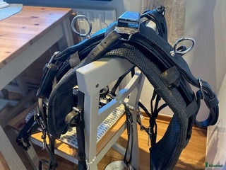 Körselar körning till salu: Komplett Remsele Travsele, tömmar, träns bra skic i Kattarp - Annons 22