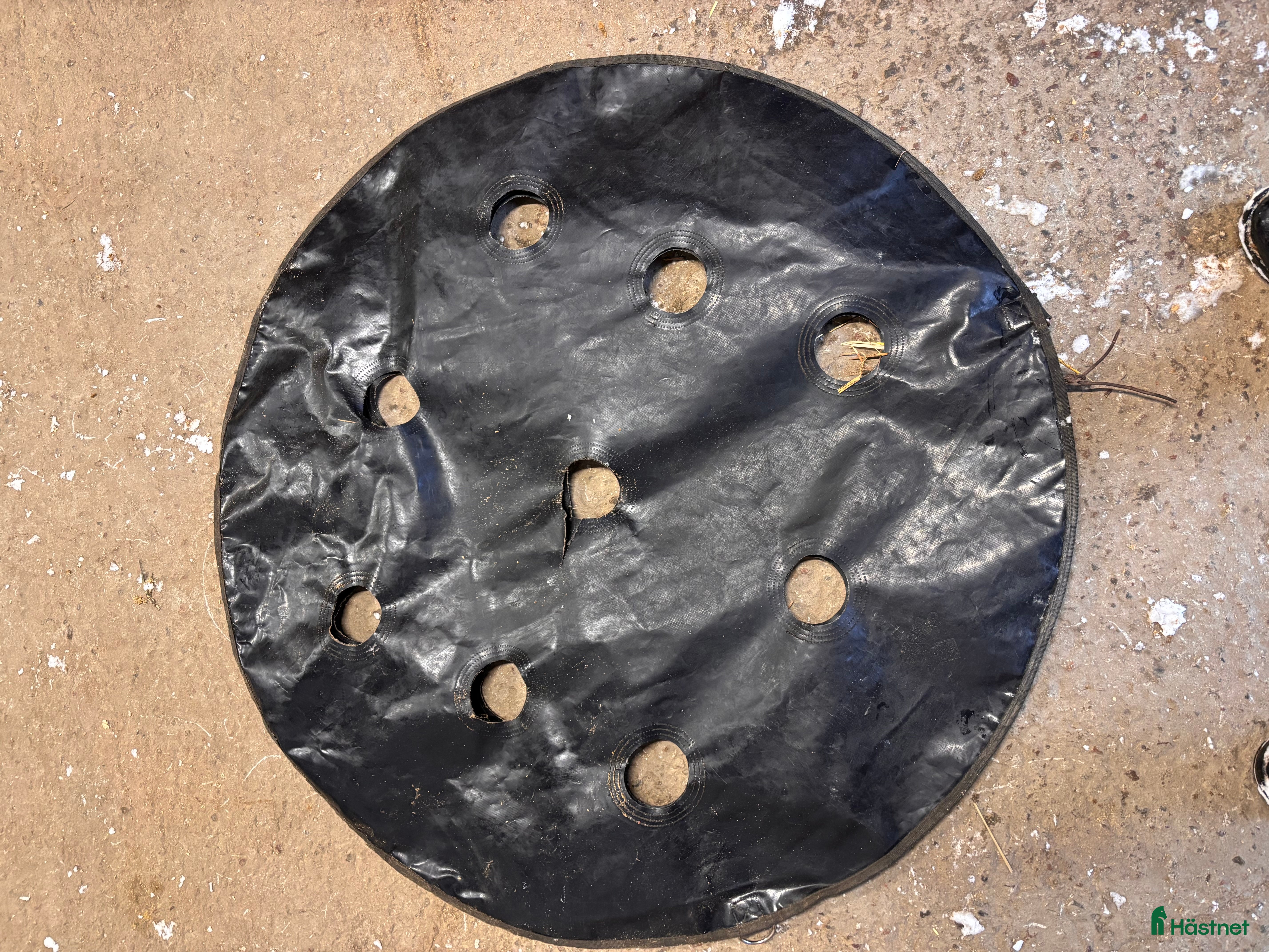 Övrig utrustning övrig utrustning till salu: Kentucky hökudde XL slowfeeder - Annons 17