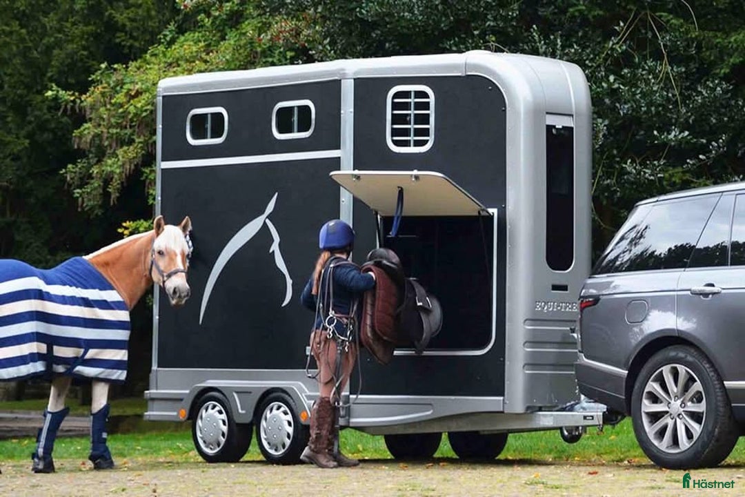 Hästtransporter  fordon & transport till salu: SÖKER: Trail Treka i Norrtälje - Annons 2