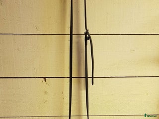 Sadeltillbehör hästutrustning till salu: Martingal i Nora - Annons 11