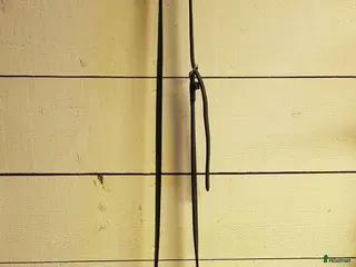 Sadeltillbehör hästutrustning Martingal i Nora - Annons 3