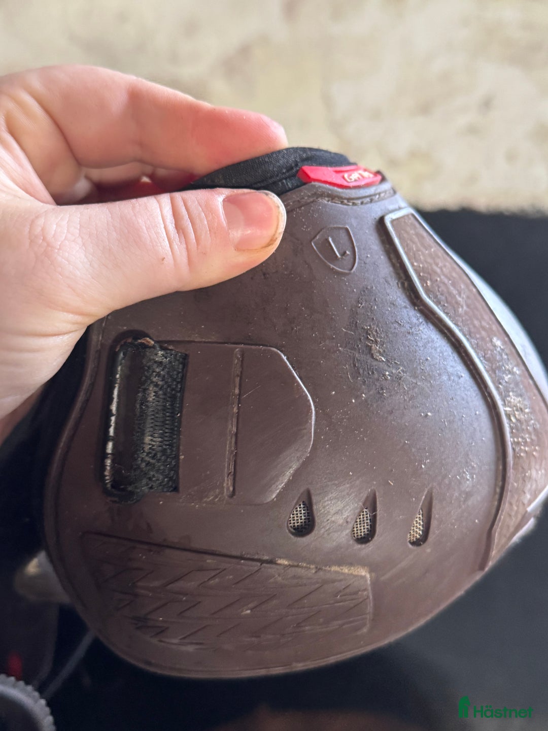 Benskydd hästutrustning till salu: Bakskydd från Zandona  i Kimstad - Annons 2