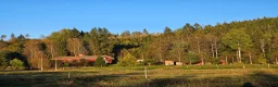 Allround hästar sökes: Häst sökes  - Annons 1