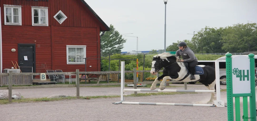 Galleribild {{count}}