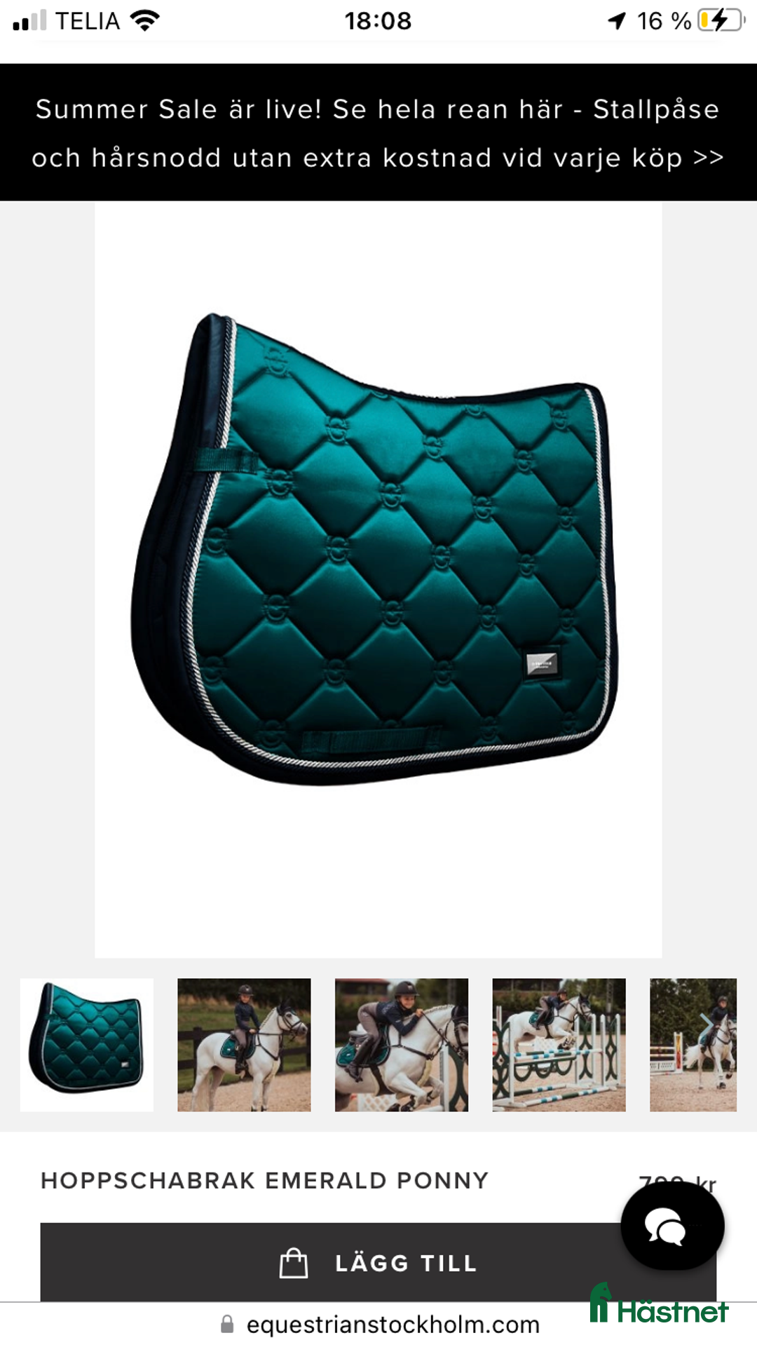 Schabrak & Vojlockar hästutrustning till salu: Fint equestrian Stockholm schabrak  i Umeå - Annons 2