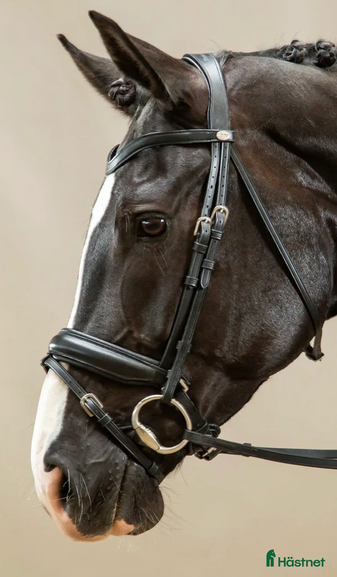 Träns hästutrustning till salu: Dyon svart dressyrträns COB - Annons 4
