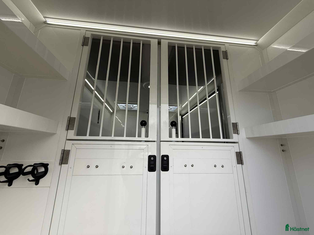 Hästlastbilar  fordon & transport till salu: NORDIC HORSE 5 STUTERI *HÖG LASTVIKT* i Köping - Annons 5