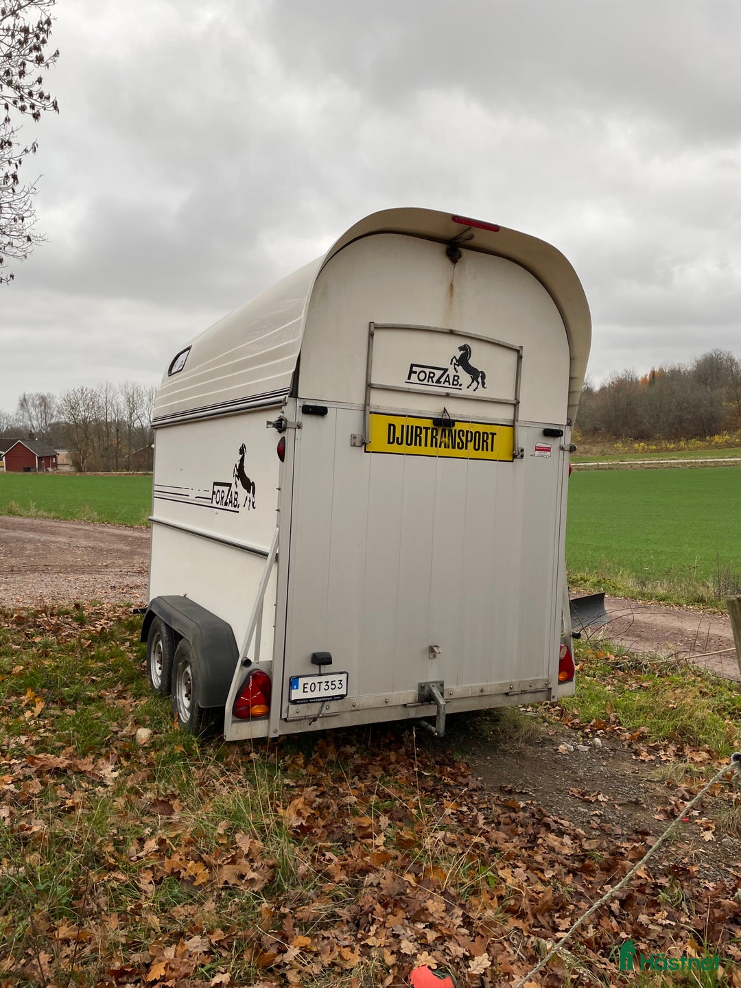 Hästtransporter  fordon & transport till salu: Cavallo Seh 20    2015 i Motala - Annons 5