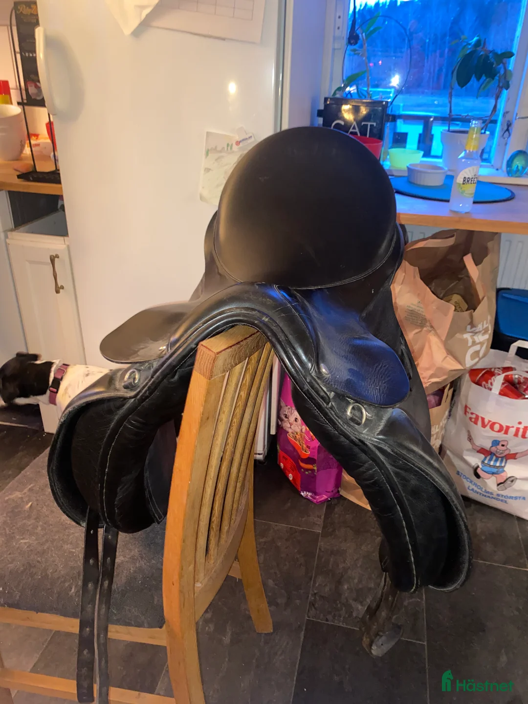 Sadlar hästutrustning till salu: Jensen Saddler dressyr - Annons 2