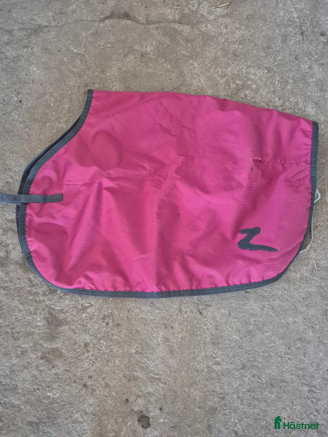 Täcken hästutrustning till salu: Täcken - Annons 5