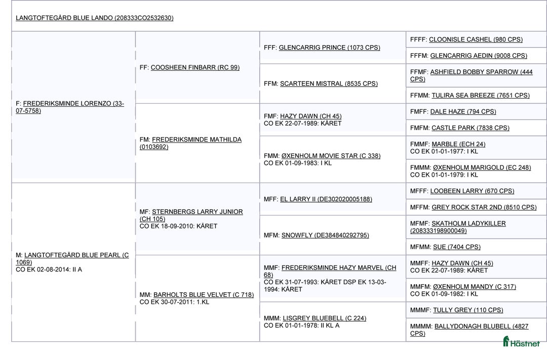 Hoppning hästar till salu: stallionprospect and top jumping prospect - Annons 3