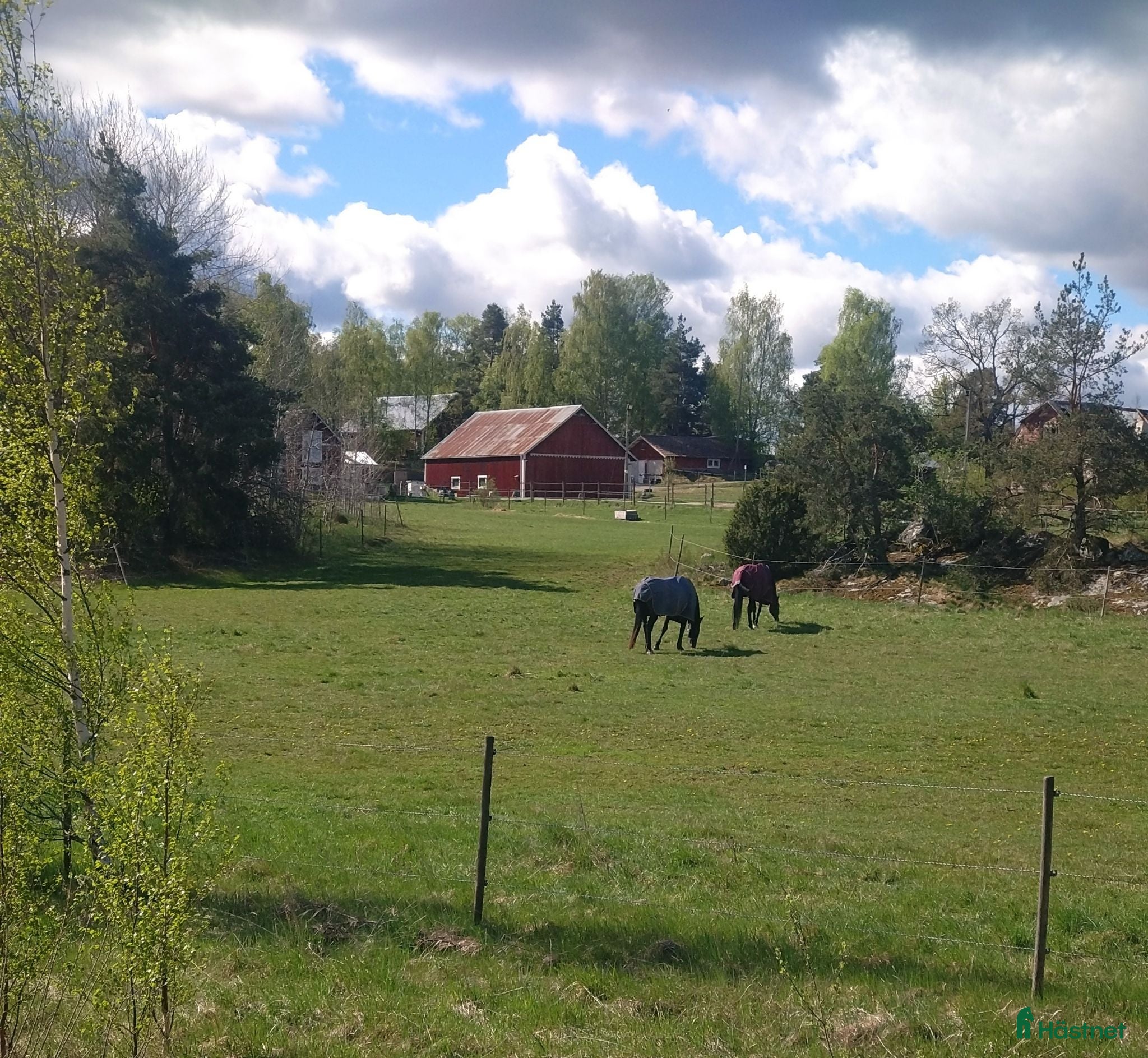  stallplats Boxplatser centralt i Vallentuna - Annons 3
