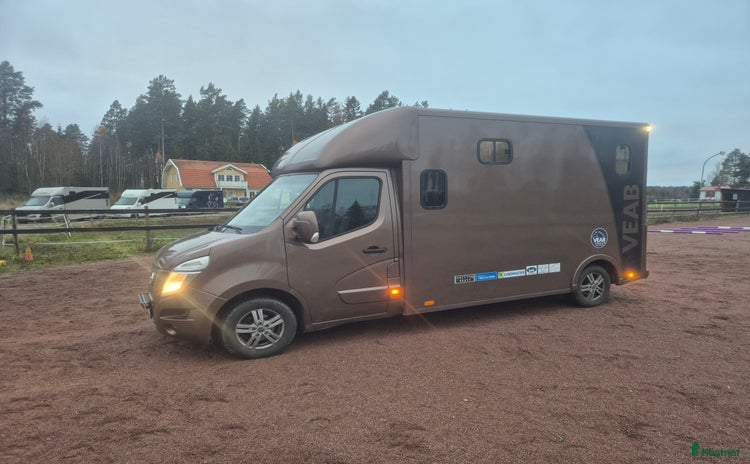 Hästlastbilar  fordon & transport till salu i Falun - Annons 2