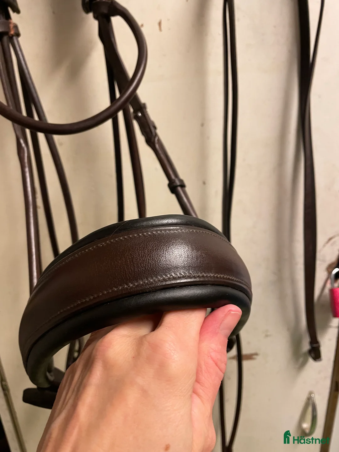 Träns hästutrustning till salu: Rundsytt kandar från Passier  - Annons 2