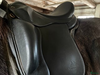 Sadlar hästutrustning till salu: Fin och välvårdad. I nyskick i Dalhem - Annons 1