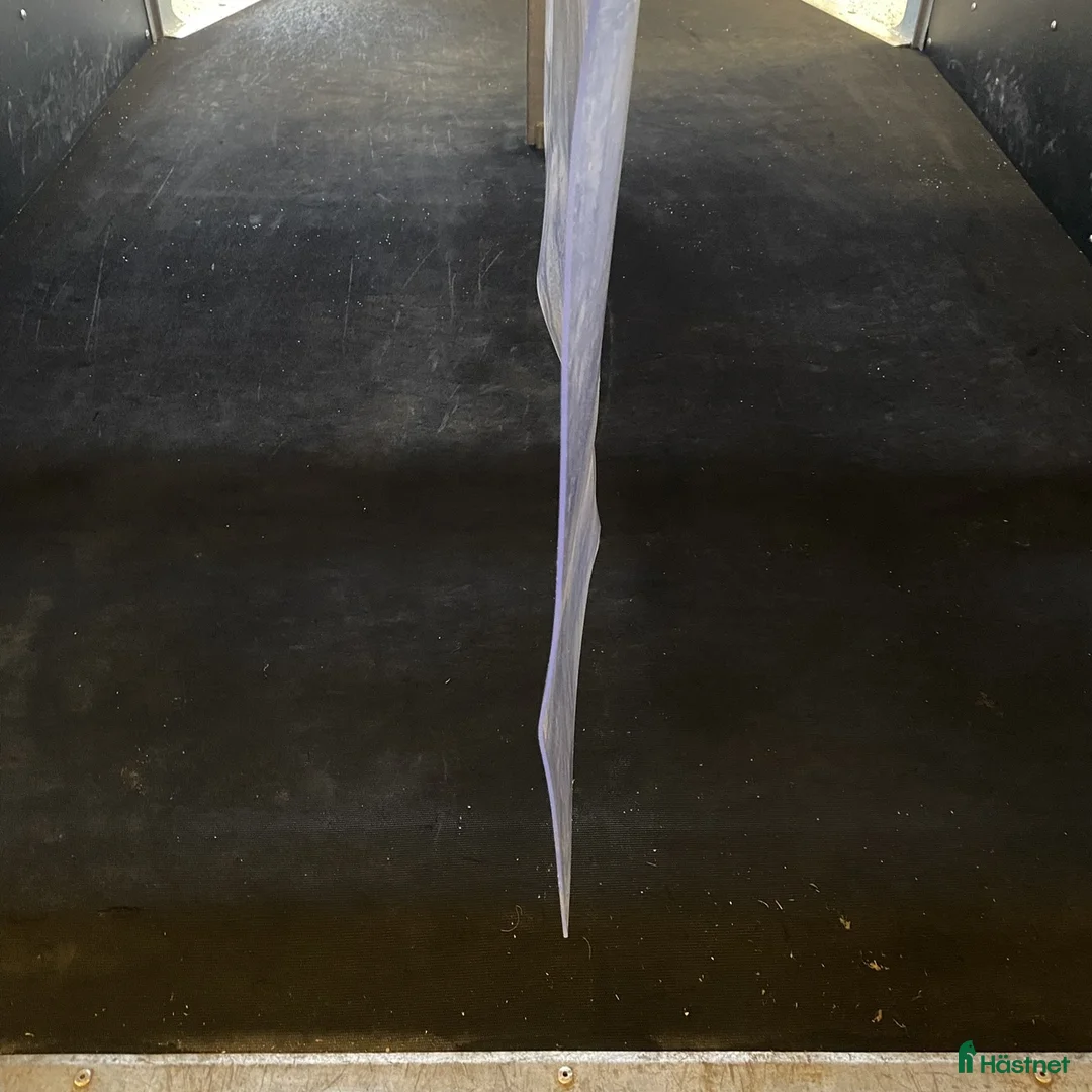 Hästtransporter  fordon & transport till salu: Promax m AidSystem öppna/stäng framifrån+sadelskåp - Annons 12