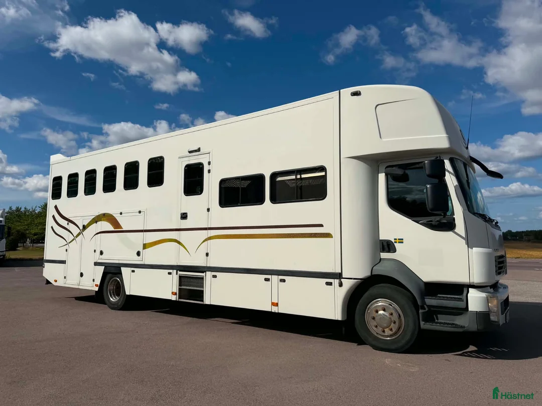 Hästlastbilar  fordon & transport till salu: C-KORT THEAULT 6 HÄSTARS MED BODEL  - Annons 1