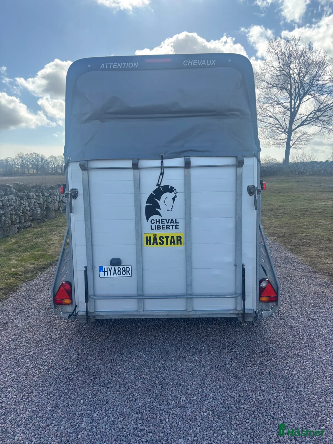 Hästtransporter  fordon & transport till salu: Cheval Gold -19 - Annons 6