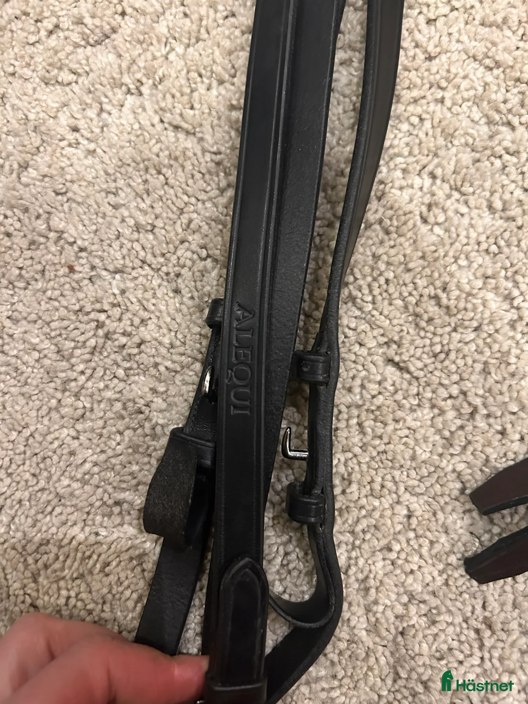 Träns hästutrustning till salu: Lädertyglar svarta och mörkbruna i Enhörna - Annons 2