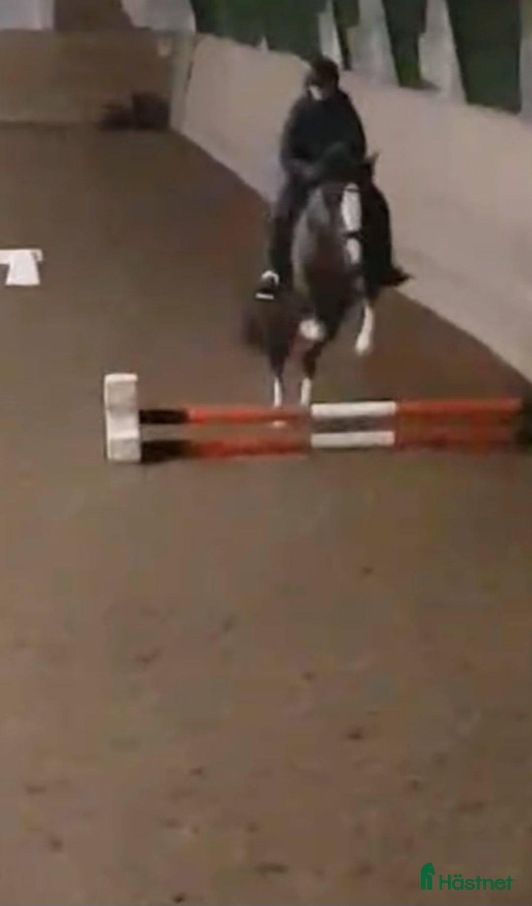 Hoppning hästar sökes: Foder häst sökes i Stallarholmen - Annons 2