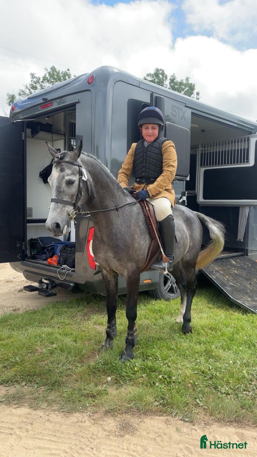 Hoppning hästar till salu: Ungponny SM 2026 i Ängelholm - Annons 1