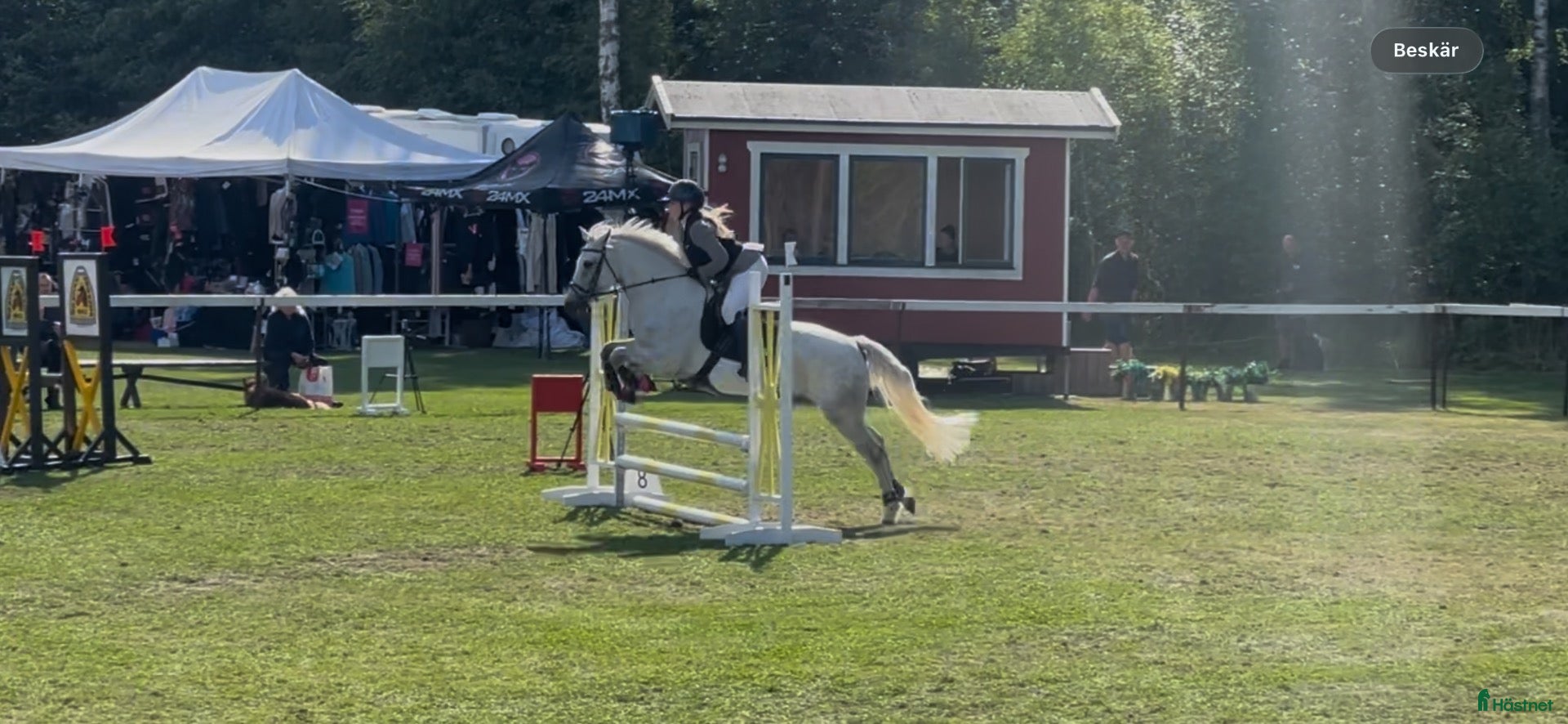  hästar Drömponnyn  - Annons 4