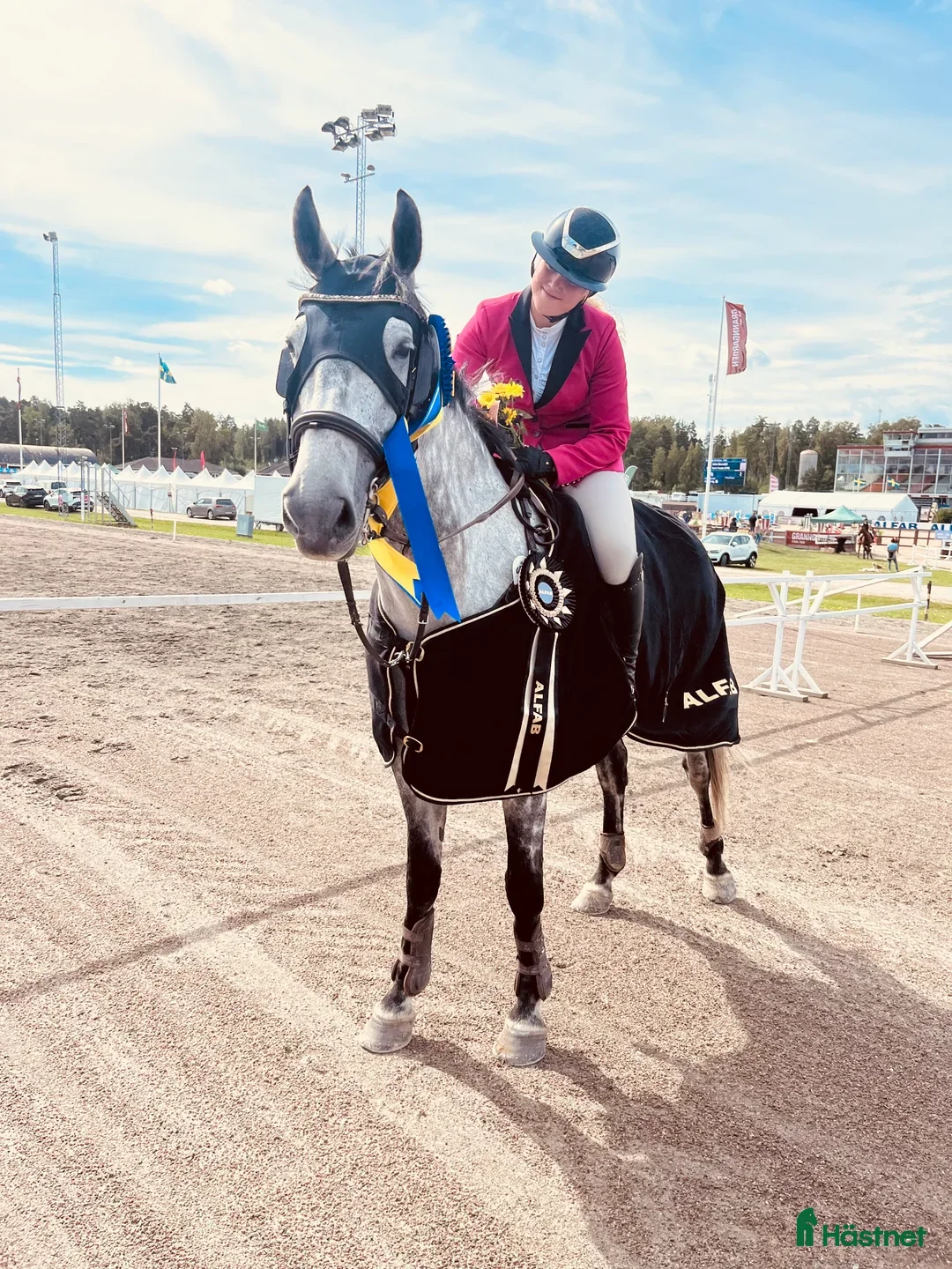 Hoppning hästar till salu: Rolig tävlingskompis i Hudiksvall - Annons 3