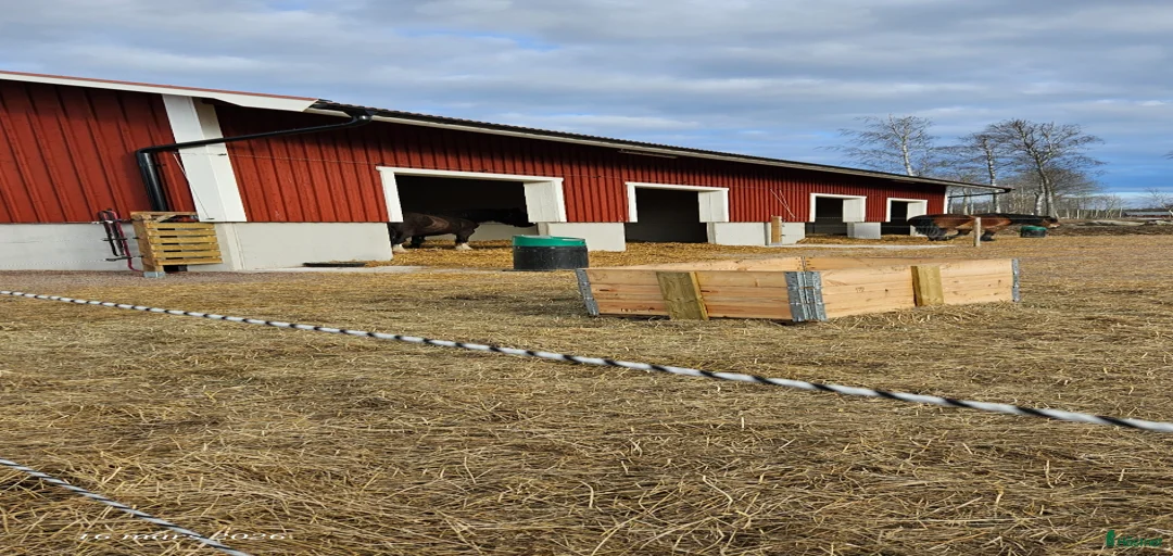 Galleribild {{count}}