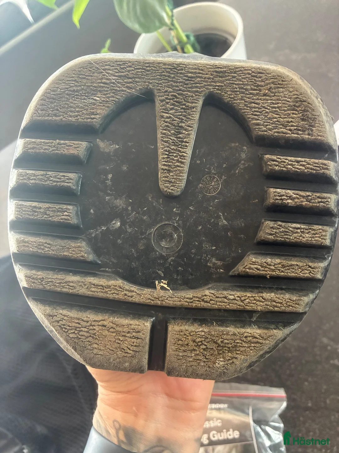 Övrig Hästutrustning hästutrustning till salu: SCOOT BOOT BOOTS size 9 - Annons 5