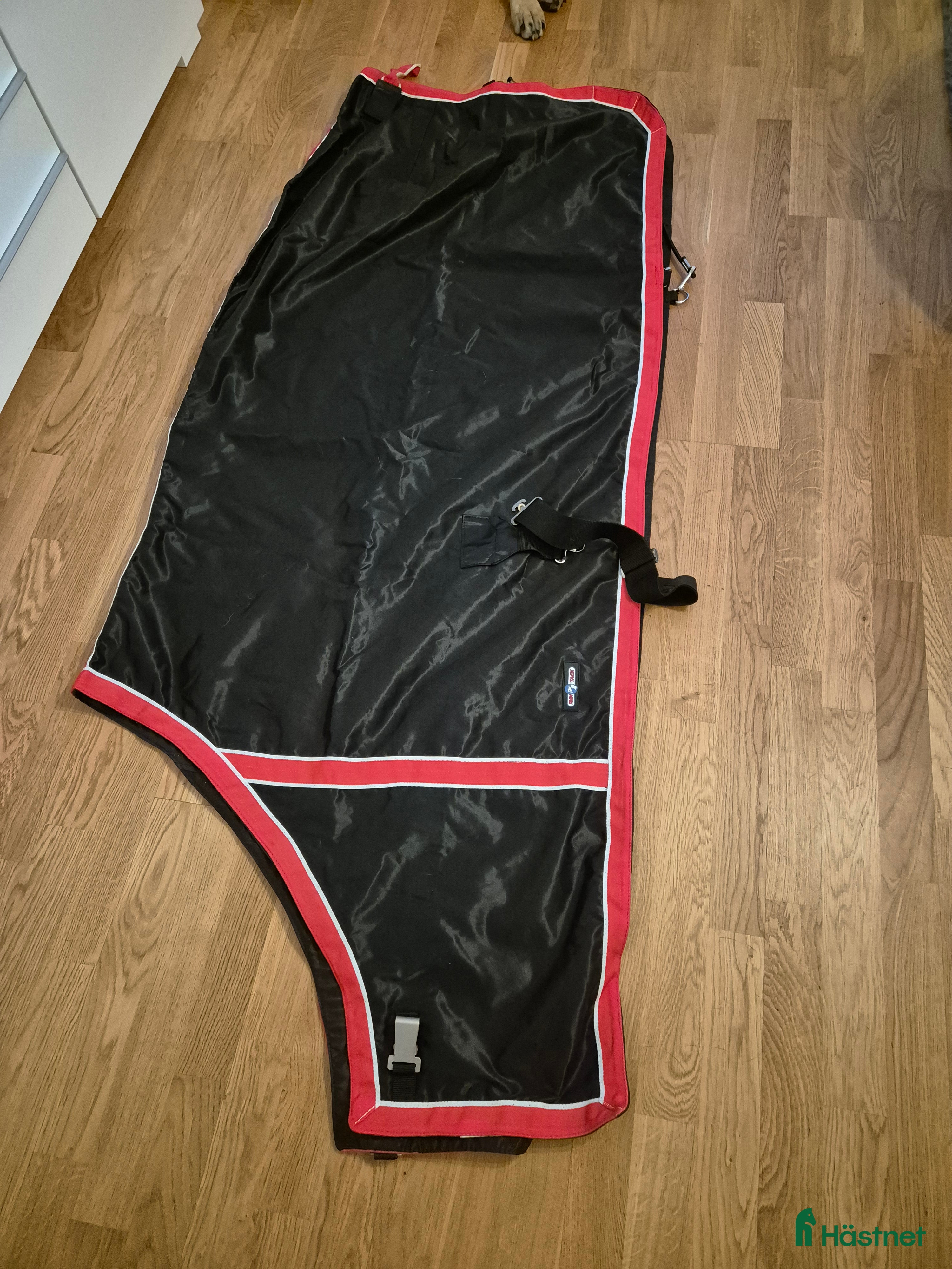 Täcken hästutrustning till salu: Transporttäcke i Kiruna - Annons 1