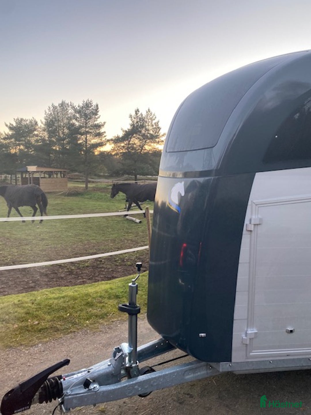 Hästtransporter  fordon & transport till salu: Hästtransport Clear round ALu  i Kinnarumma - Annons 9