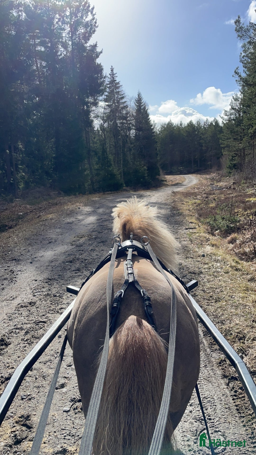  stallplats finnes: Lediga boxplatser i Vallentuna - Annons 16