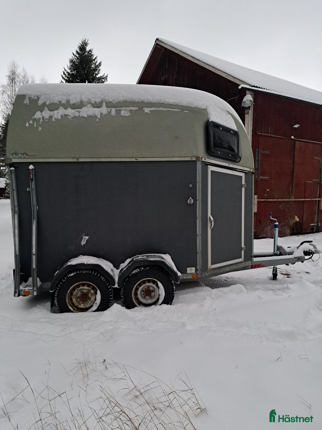 Hästtransporter  fordon & transport till salu: Böckmann  i Nordmaling - Annons 4