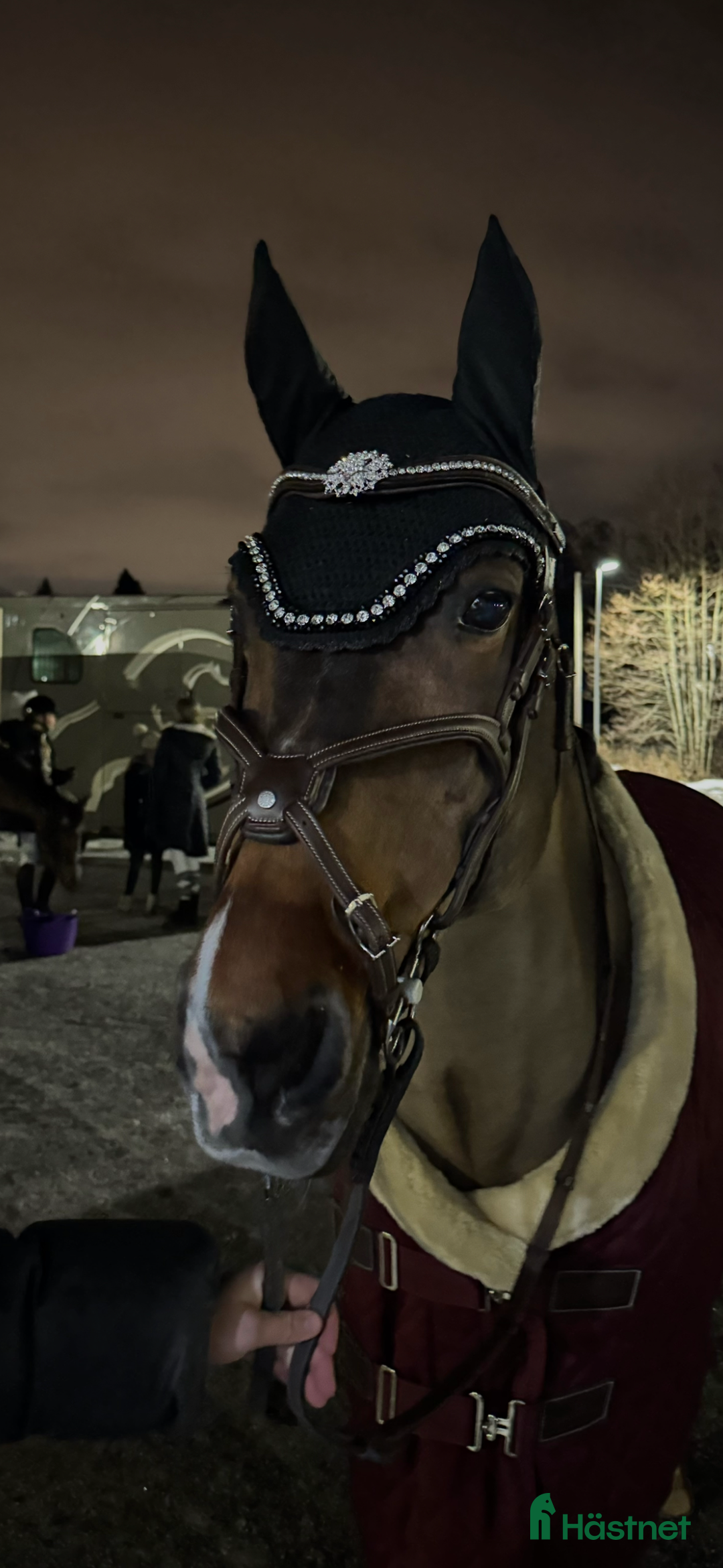 Träns hästutrustning till salu: Antares träns till salu! i Västerhaninge - Annons 2