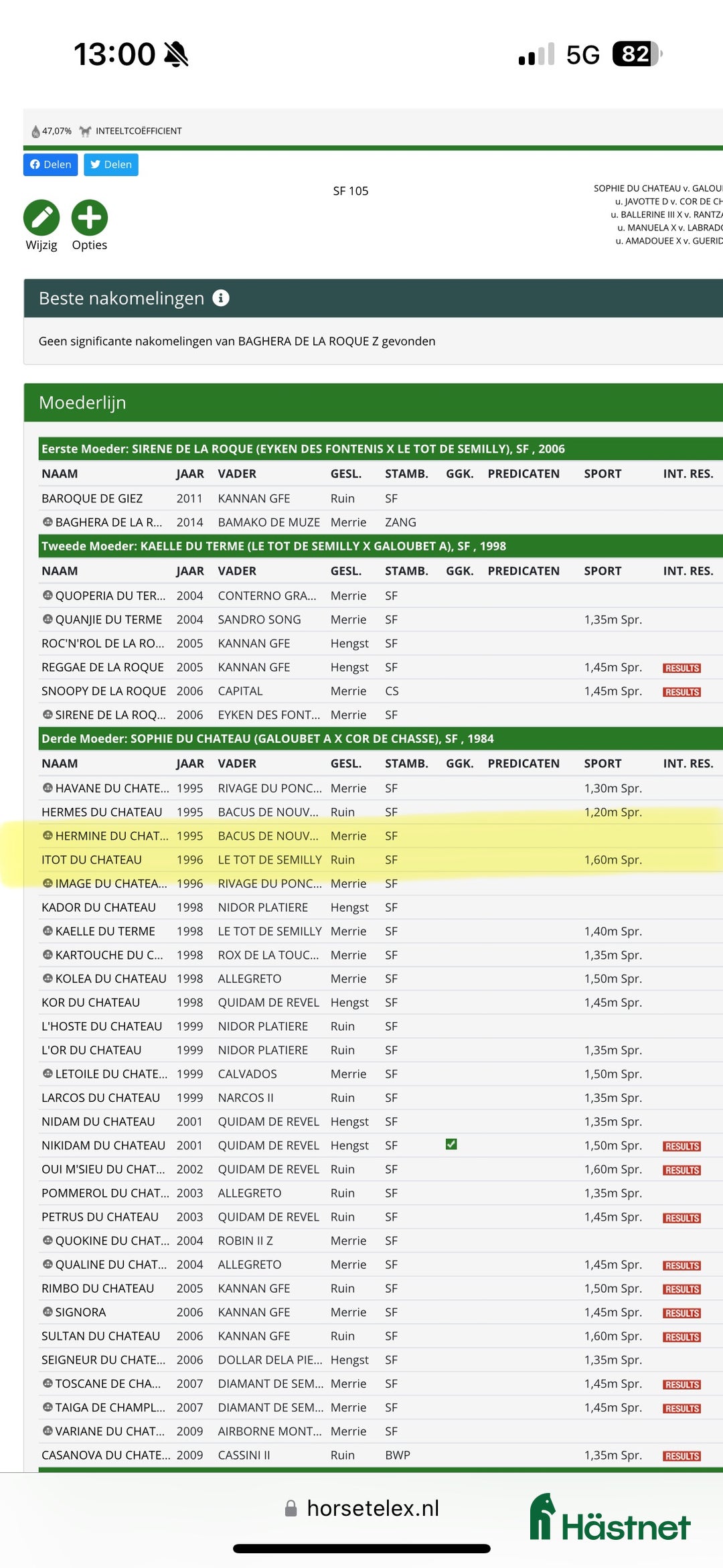 Avelshästar hästar till salu: Avelssto e Bamako de Muze dräktig med Cascadello I i Eskilstuna - Annons 10