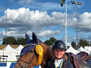 hästjobb Hästskötare/groom sökes i Alvesta - Annons 12