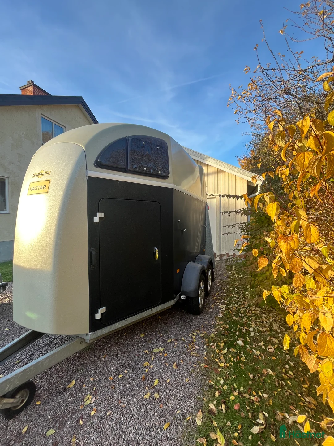 Hästtransporter  fordon & transport till salu: Humbaur Zephir hästtransport - Annons 8