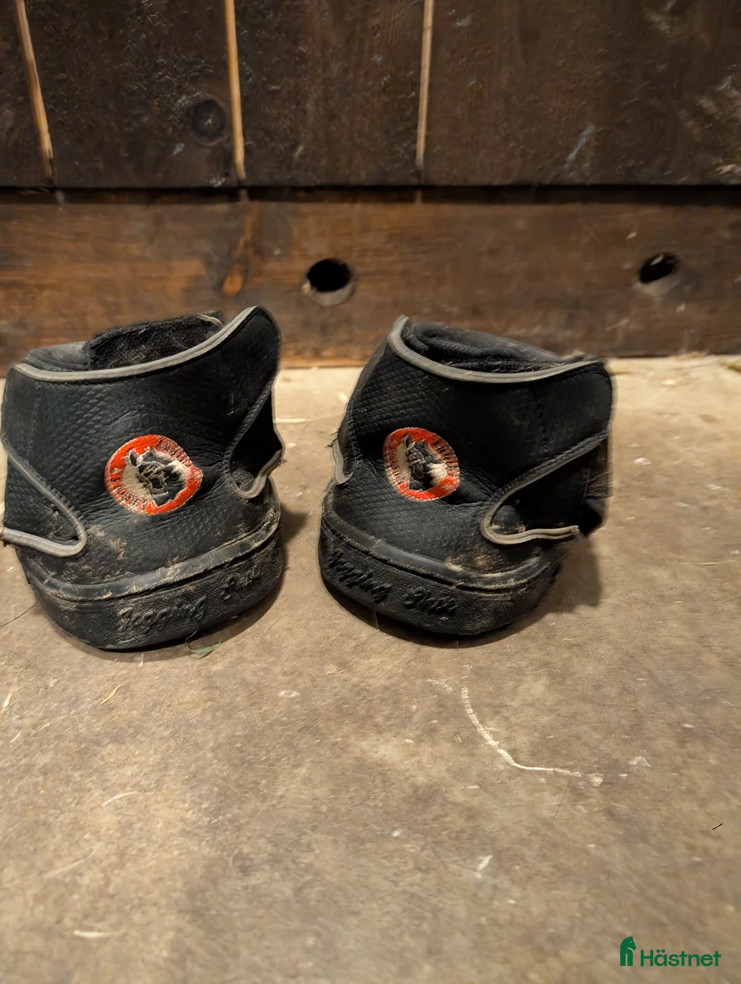 Övrig Hästutrustning hästutrustning till salu: EF stl 10 i Boliden - Annons 1