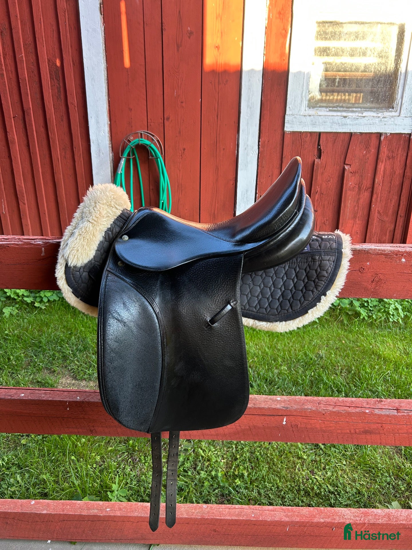 Sadlar hästutrustning Röösli dressyrsadel  - Annons 5